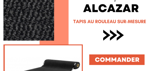 Focus sur Le Tapis Alcazar